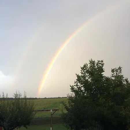 Homoki Wellness Ueduelohaz Balatonakarattya